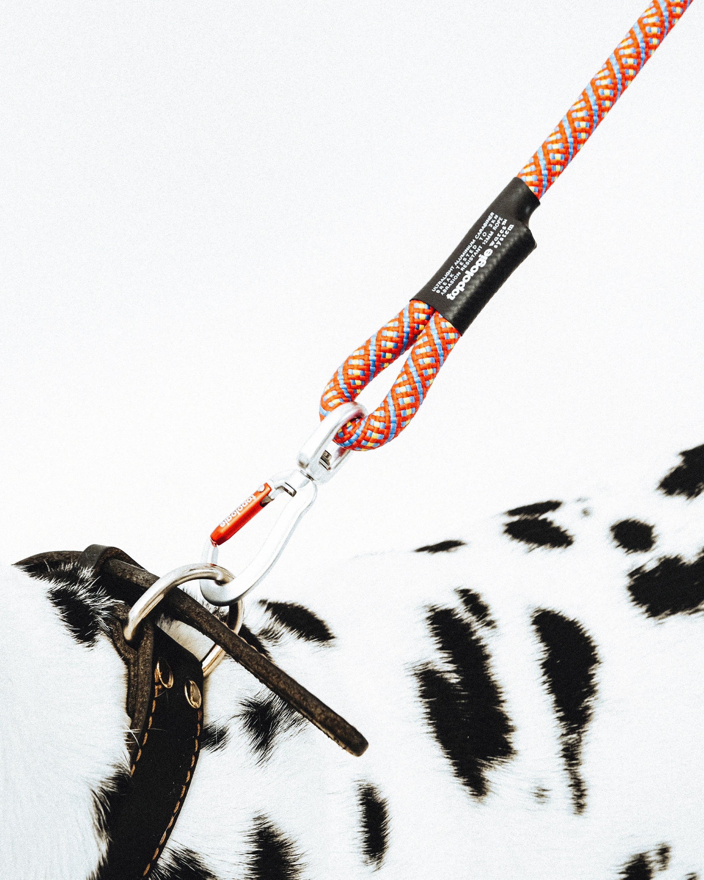8.0mm Leash