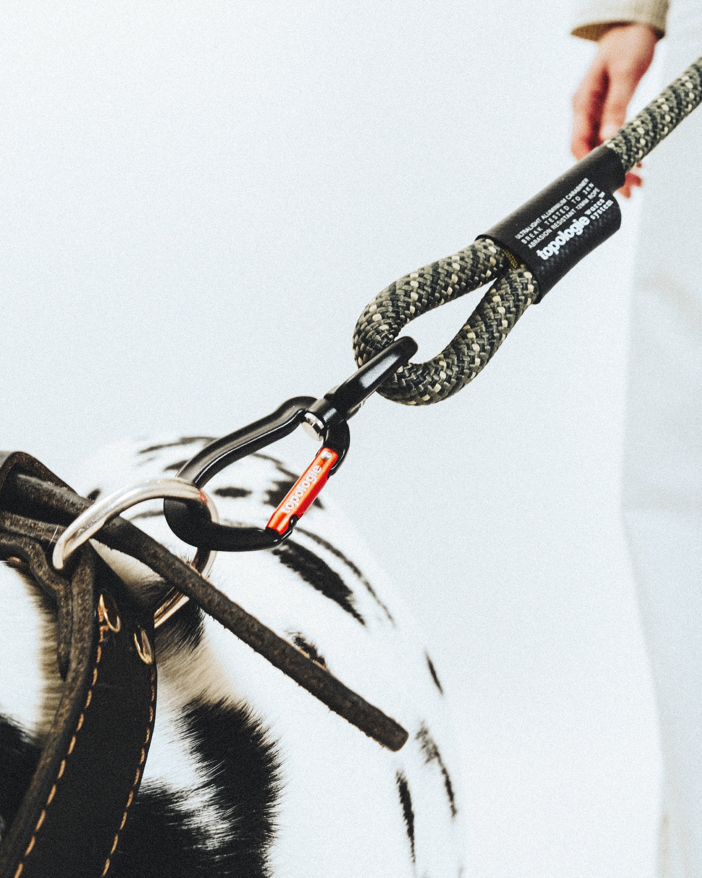 8.0mm Utility Leash