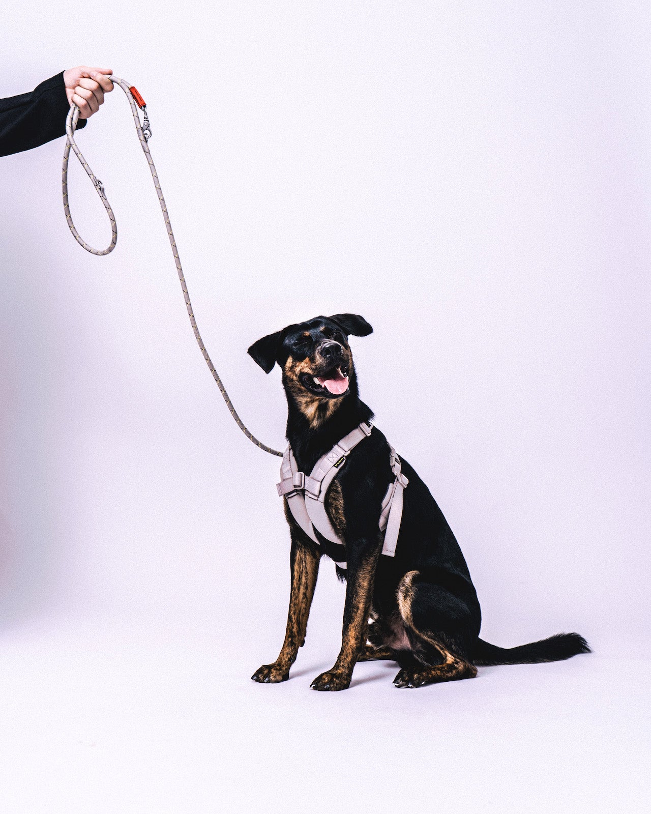 Sputnik x Topologie 10mm The Leash / Sputnik Grey