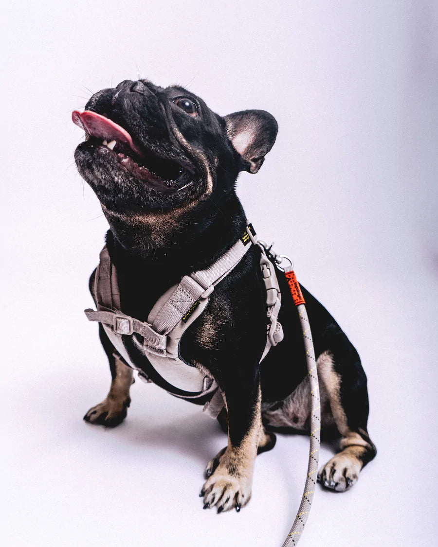 Sputnik x Topologie The Harness / Sputnik Grey